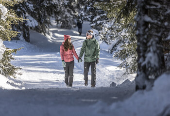 Winterwandern in Wald-Königsleiten