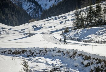 Langlaufen in der Zillertal Arena