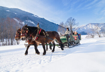 Pferdekutschenfahrt Wald