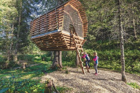 Zwei Mädchen klettern auf ein Baumhaus
