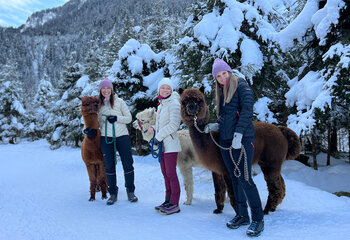 Alpakawanderung Krimmler Wasserfälle