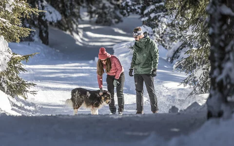 Ein Mann und eine Frau streicheln einen Hund
