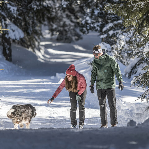 Ein Mann und eine Frau machen einen Spaziergang durch den Schnee und begegnen einem Hund