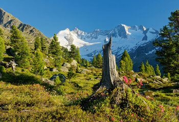 Leitenkammersteig Krimml