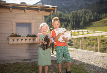 Streichelzoo Almparadies Gerlosstein