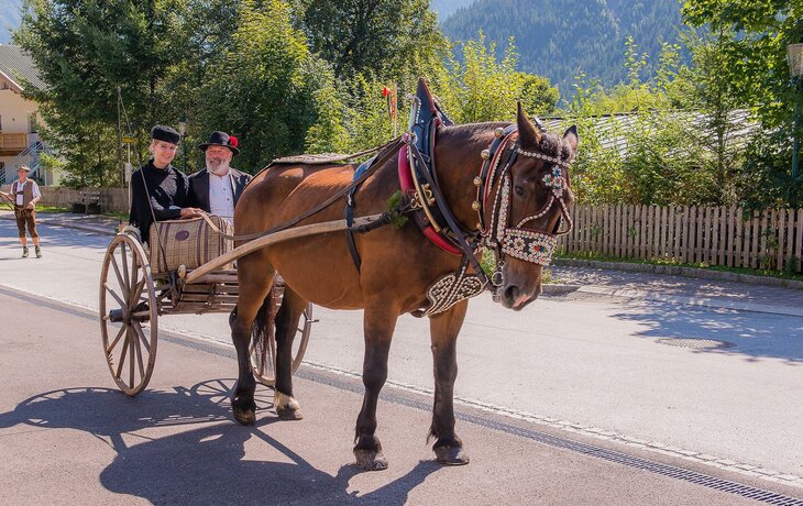 Ein Pferd zieht eine Frau und einen Mann auf einer Zwei-Rad-Kutsche