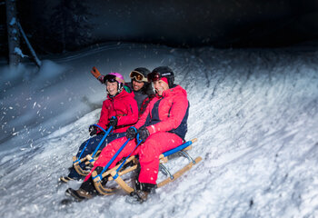 Rodelbahn Hochkrimml