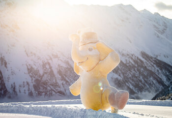 Funty Zillertal Arena