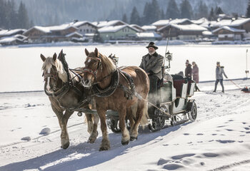 Pferdeschlittenfahrt im Winter