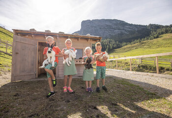 Streichelzoo Almparadies Gerlosstein