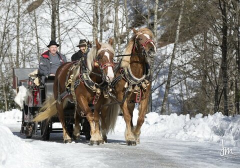 Gerloser Wintermarkt 02
