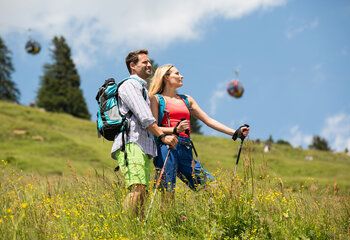 Wandern in Wald-Königsleiten
