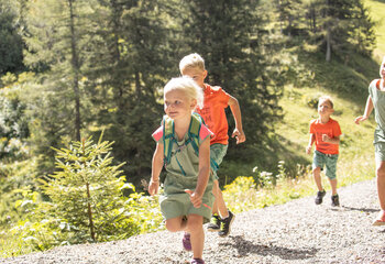 Almpromenade Gerlosstein