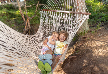 Hängemattenwald im Fichtenschloss