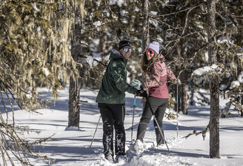 Winterwandern in der Zillertal Arena