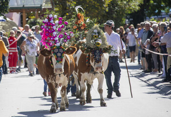 Almabtriebsfest in Krimml