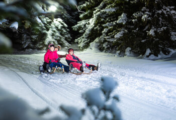 Rodelbahn Hochkrimml