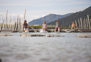 Niedrigwasserbereich am Fichtensee