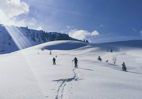 Zwei Schifahrer auf der Piste