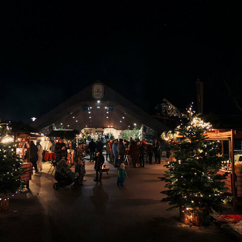 Weihnachtsmarkt mit beleuchteten Christbäumen und Verkaufsständen