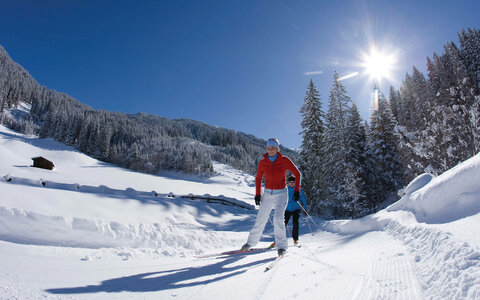 Cross-country skiing trails