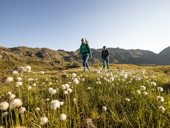 Aktiv Wellness Gerlos