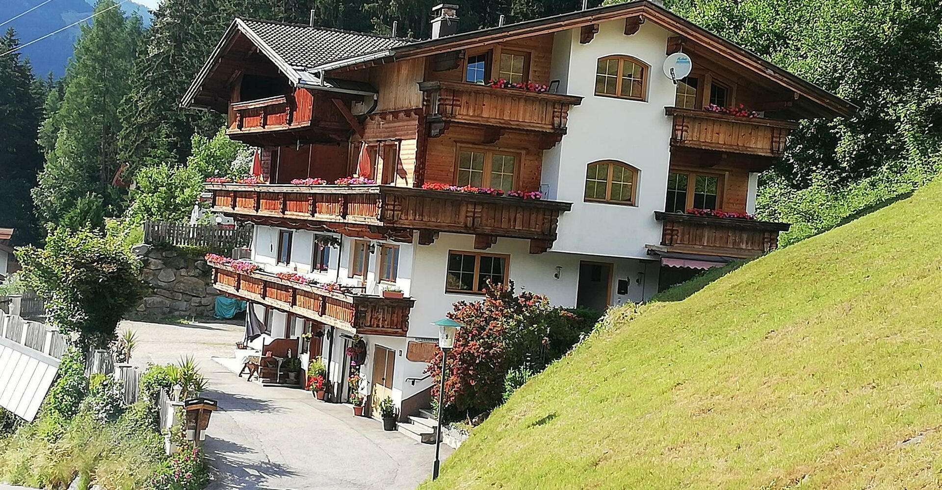 IMG20190618174156.jpg