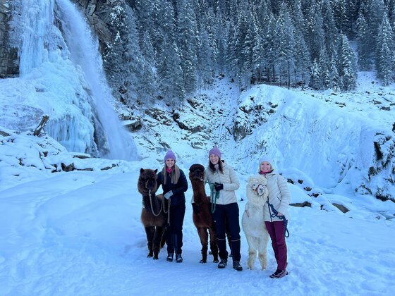 Winterwanderung mit den Wasserfall-Alpakas
