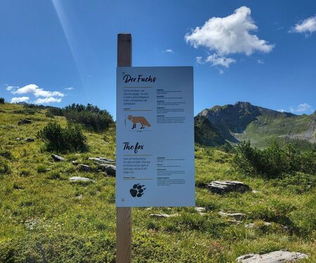 Kartenelement Titelbild