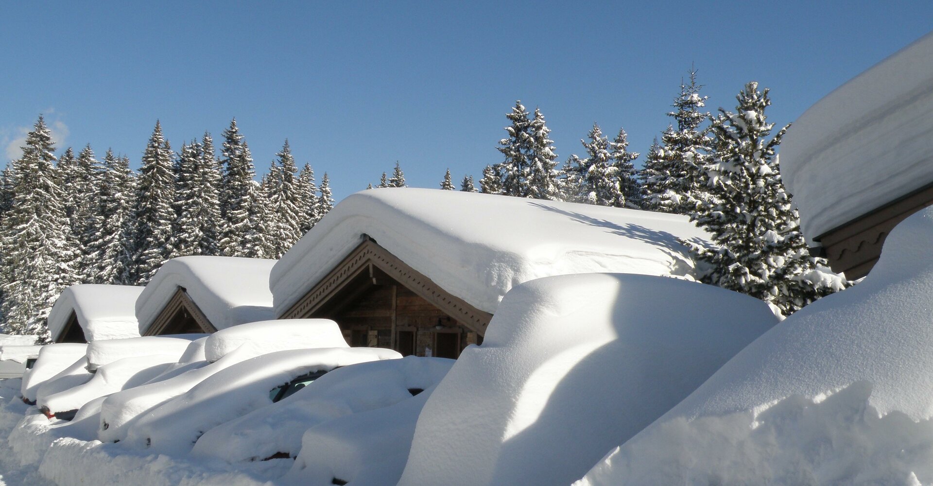 Winter.jpg