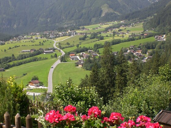 Gruppen & Familienhof Falkenstein