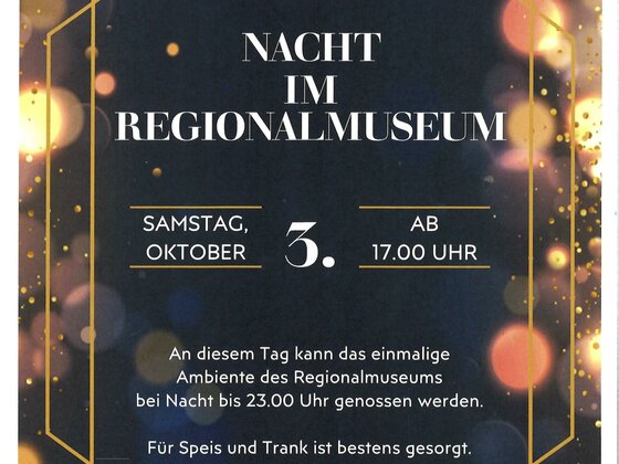 Nacht im Regionalmuseum