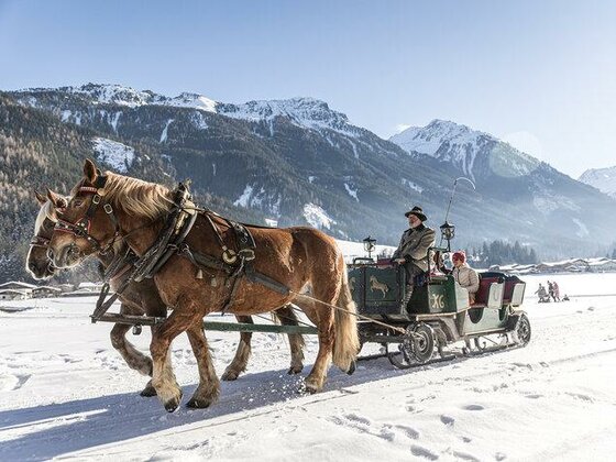 Pferdeschlittenfahrten Quehenberger