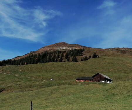 Kartenelement Titelbild