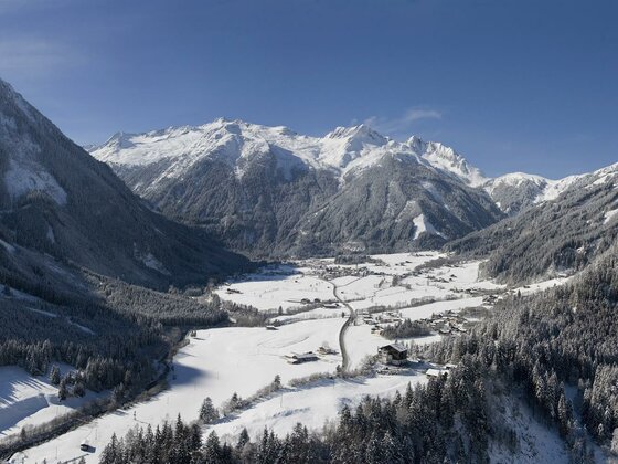 Gruppen & Familienhof Falkenstein