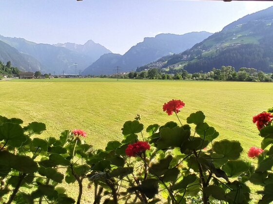 Ferienwohnung Zillertaler Alpenblick