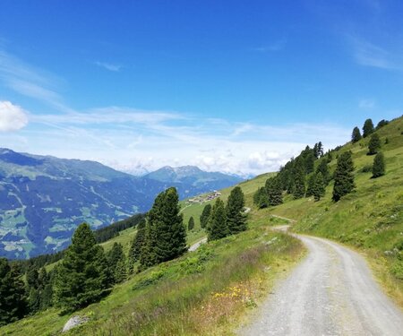 Kartenelement Titelbild