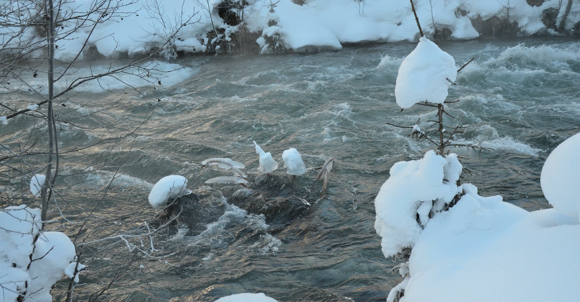 Fischlehrpfad-Winter.jpg