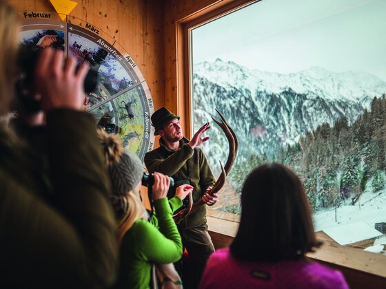 Wildtierbeobachtung bei der Schaufütterung Habachtal