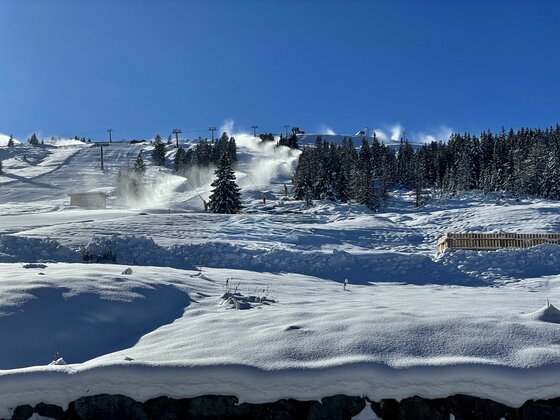 Appartements Hölzlbauer