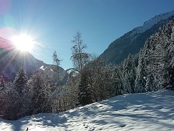 Ferienwohnungen Haus Lerch