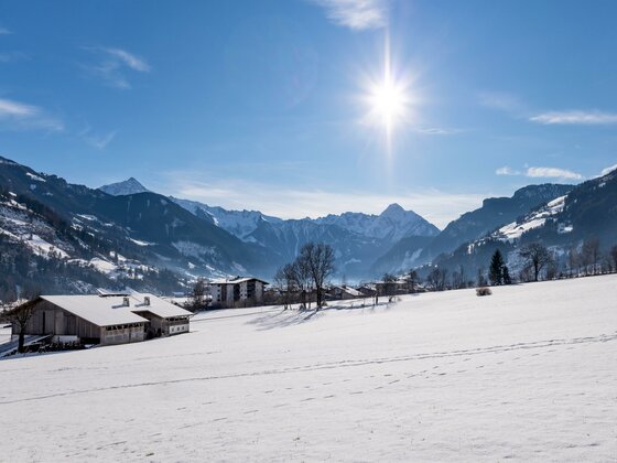 Apart Alpensonne