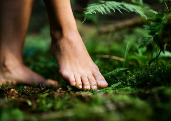 Aktiv Wellness - Waldbaden